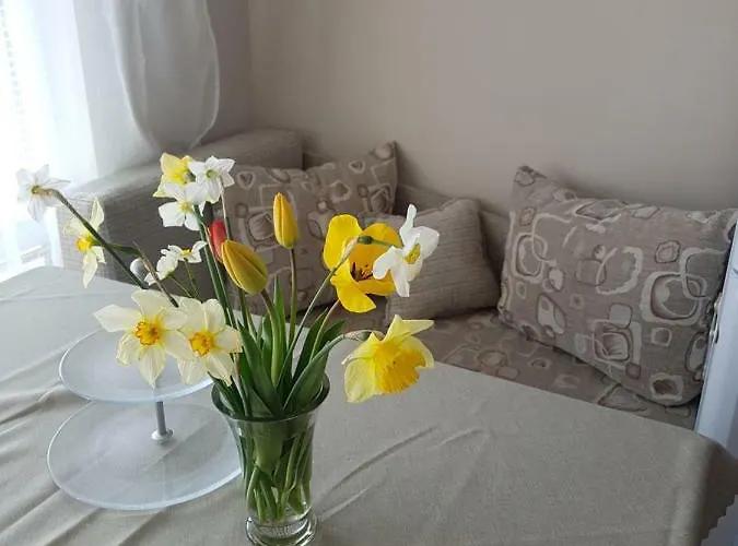 Mommy's House וארנה